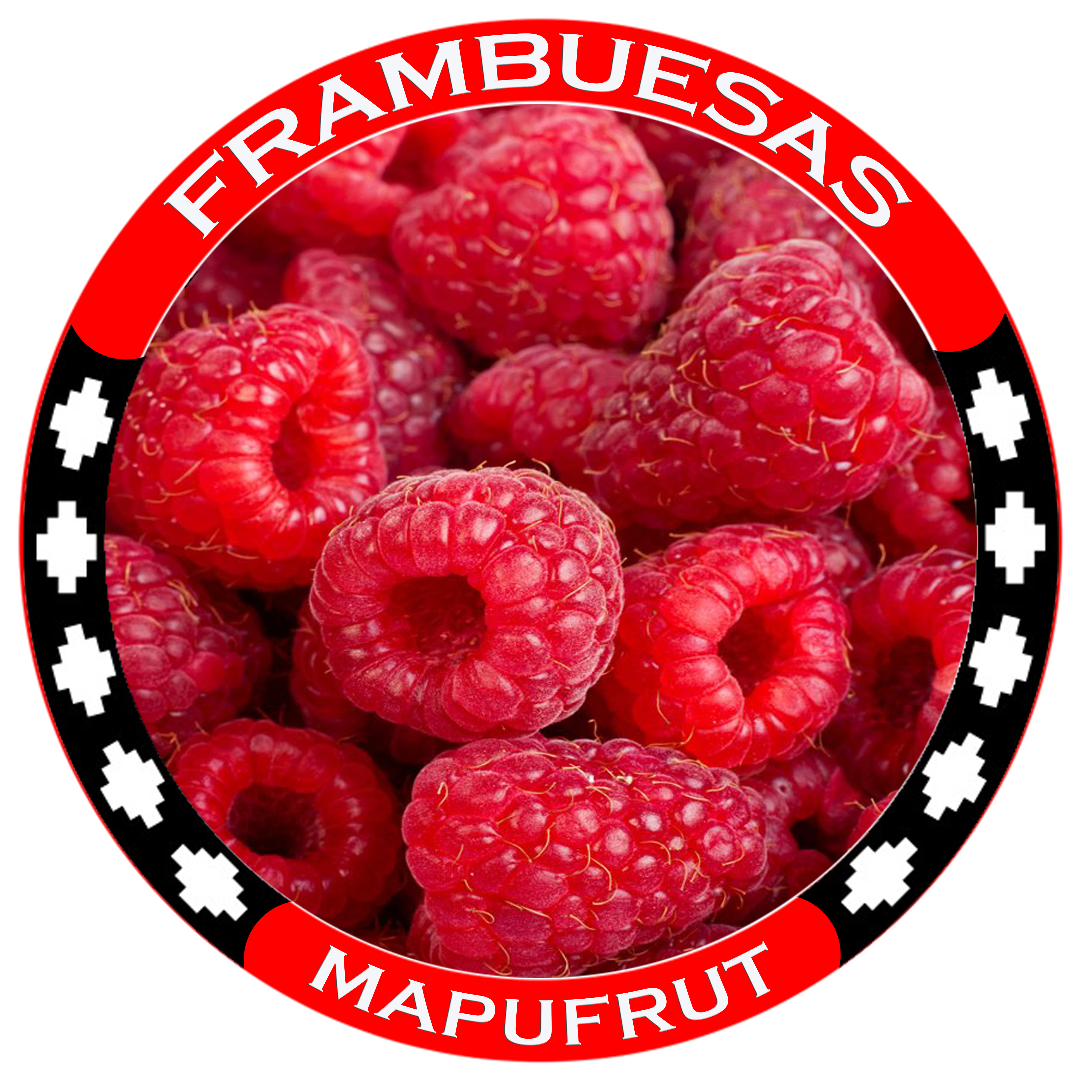 Logo de www.frambuesasmapufrut.cl